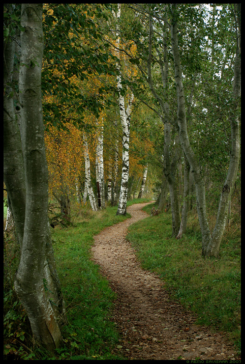 rada path sügis autumn